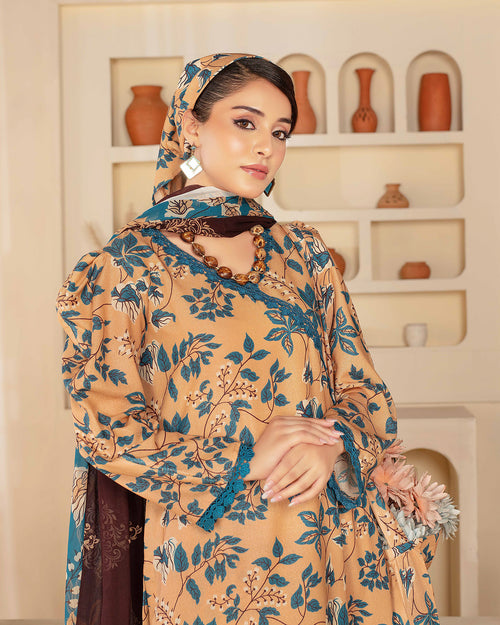 Rajwan By Hyqas 3 Piece Winter Collection D 03